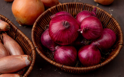 Oignons au Cameroun : plus qu’un simple condiment