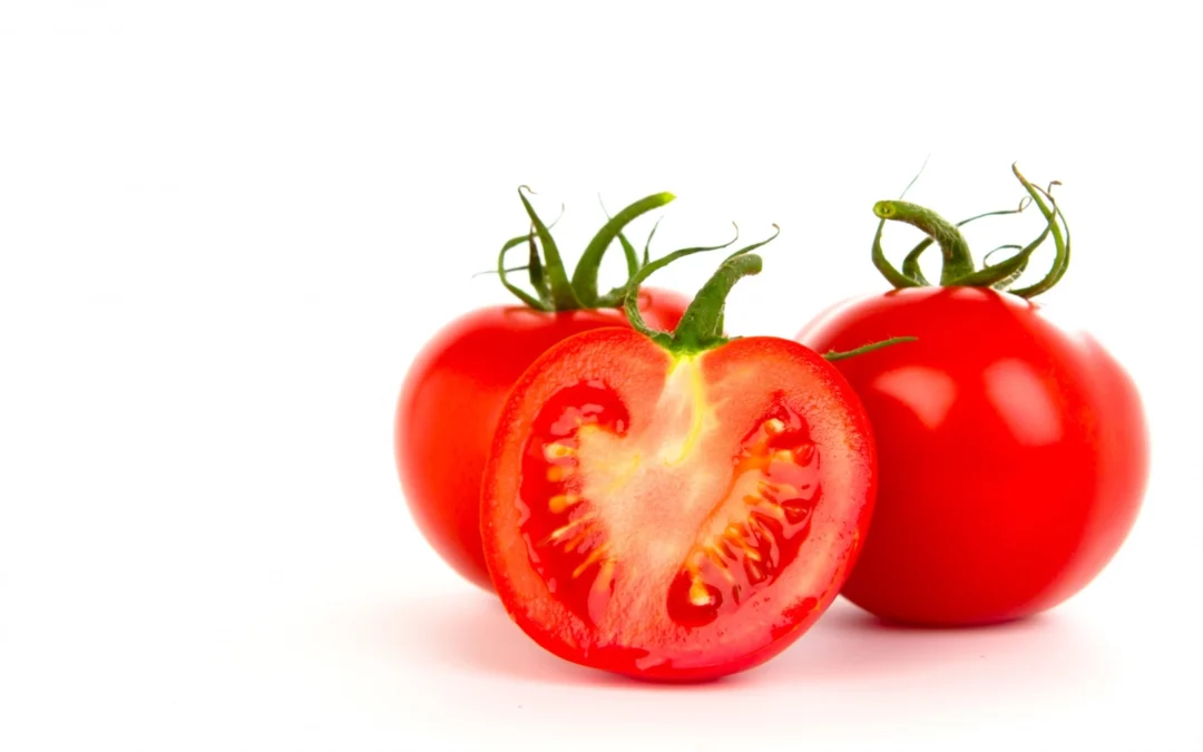 Pourquoi la tomate pourrait devenir l’un des secteurs agricoles les plus rentables du Cameroun